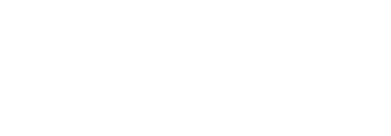 Logo_Troi_negativ_newx2@2x Troi Logo